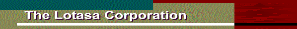 lotasabaner.gif (8822 bytes)